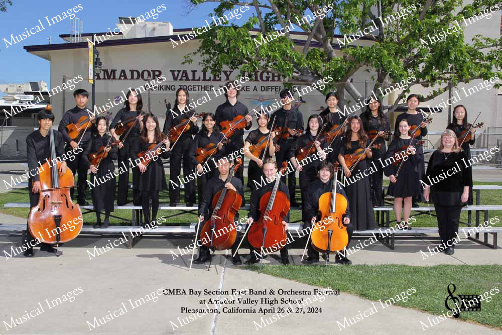 Musical Images